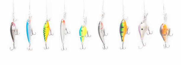 Fishing lures on white background for catching predatory fish.