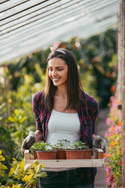 istock Happy female gardener holding her plants 1130533806