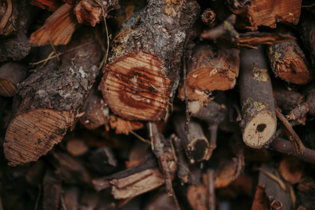 istock Firewood, for fire, stacked in a flat pile. wall firewood, 1130534076