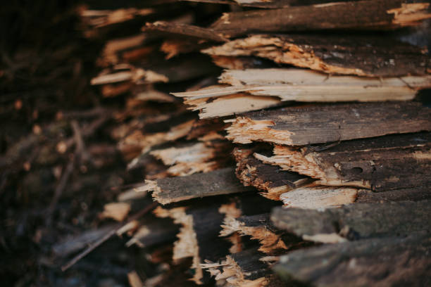 istock Firewood, for fire, stacked in a flat pile. wall firewood, 1130534152
