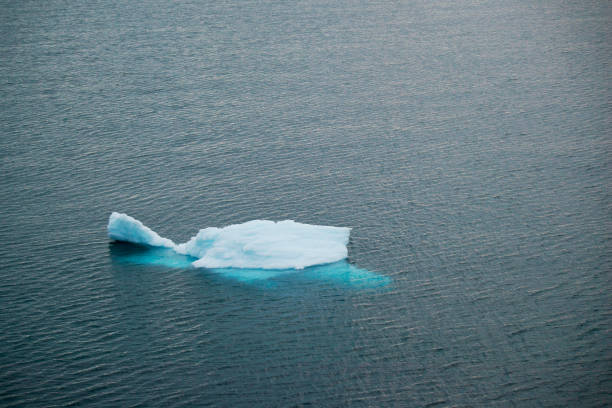Icebergs in Antarctica