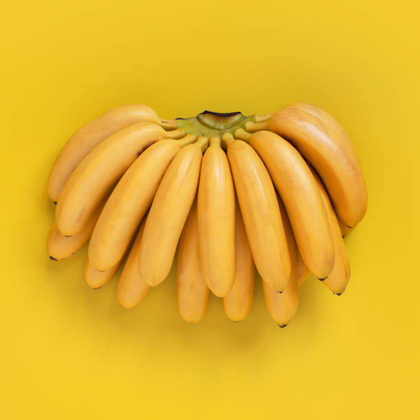 istock Bunch of fresh ripe mini bananas on yellow 1130534377