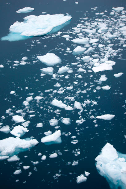 istock Icebergs in Antarctica 1130534379