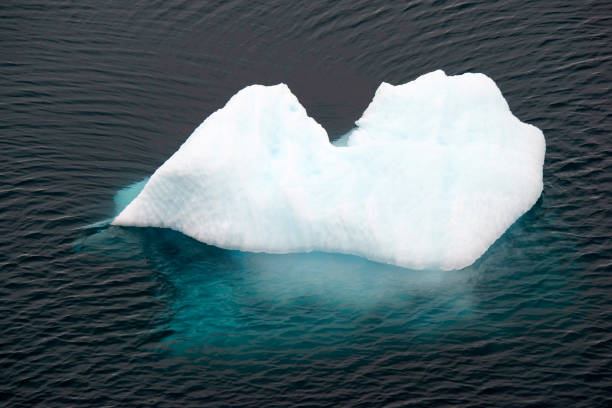 istock Icebergs in Antarctica 1130535258