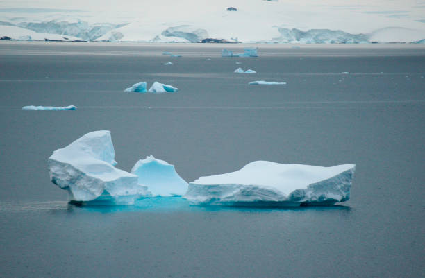 Mikkelson Harbor on D`Hainaut Island is home of thousands of Gentoo penguins