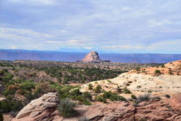 istock Whale Rock, Canyonlands 1130535464