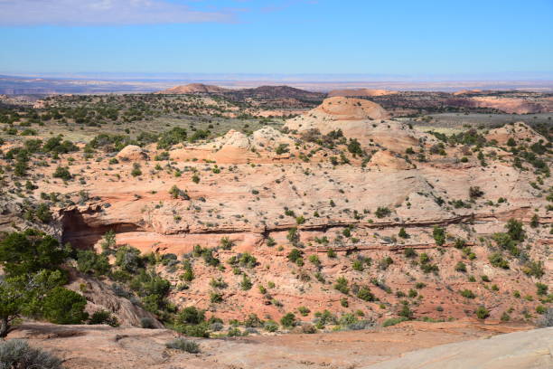 istock View from Aztec Butte, Canyonlands NP 1130535483