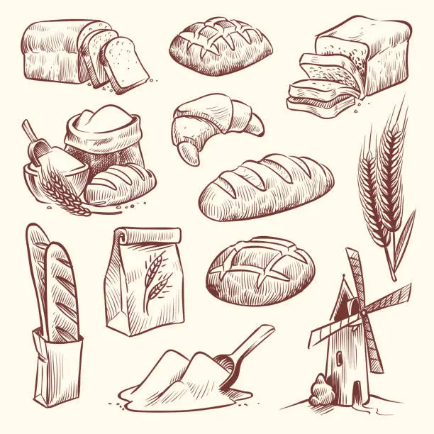 Vector illustration of Bread sketch. Flour mill baguette french bake bun food wheat traditional bakery basket grain pastry toast slice set