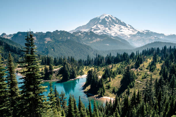 Rainier National Park Lakes and upfront views of Mt. Rainier northwest stock pictures, royalty-free photos & images