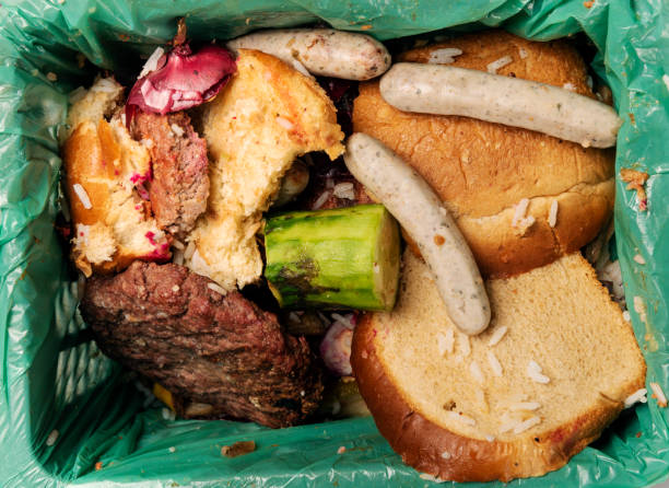 istock Food waste bin close-up 1130539071