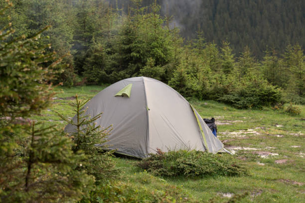 istock Camping tent set in the meadow. 1130539662