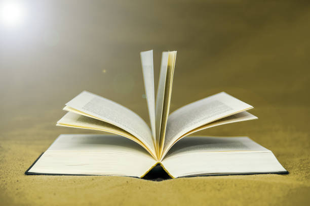 istock Open book and golden background 1130541422