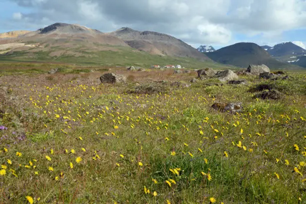Landscape at Stykkisholmur, Iceland