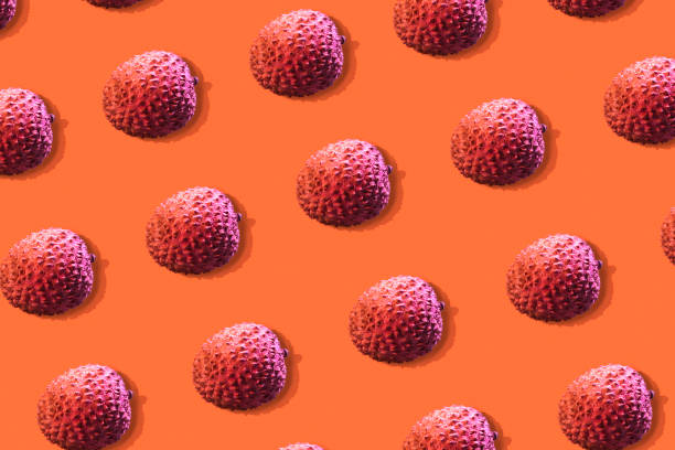 istock Lychee fruits colorful pattern on a orange background. 1130544563