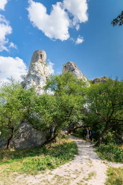 White rock in forest, national park, green trees, blue sky with clouds White rock in forest, national park, green trees, blue sky with clouds. czech republic mountains stock pictures, royalty-free photos & images