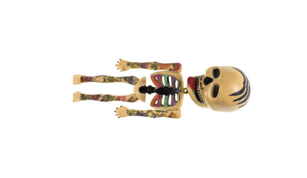 istock toy skeleton, Day of the Dead 1130544737