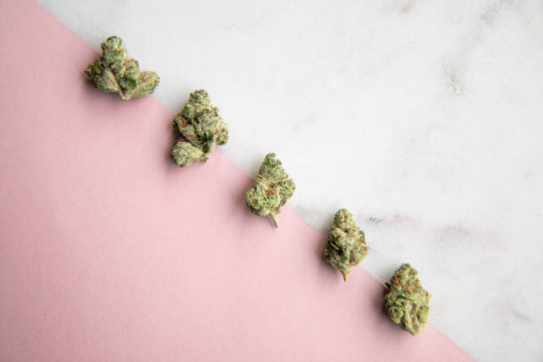 Marijuana Buds sit diagonally on Pink and White Marble Background Minimalist Cannabis stock photo