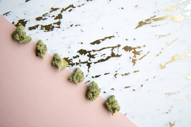 Marijuana Buds sit diagonally on Pink and Gold Marble Background Minimalist Cannabis stock photo