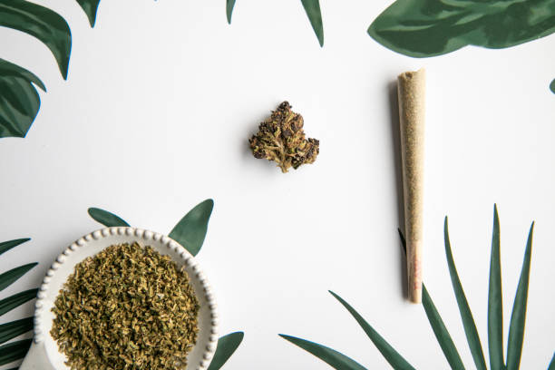 Marijuana Bud and Joint Sit on Tropical Foliage Background - Minimalist Cannabis stock photo