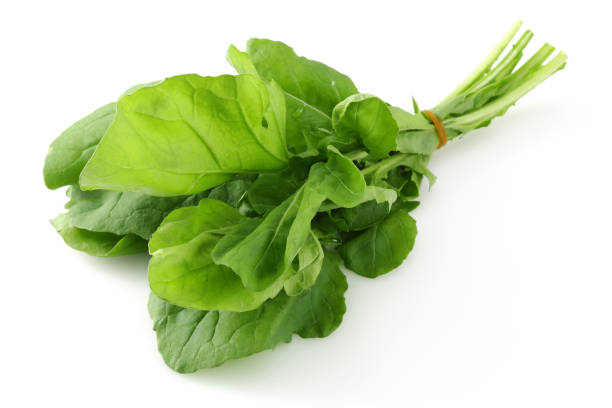 istock Bunch of fresh arugula isolated on white 1130545158