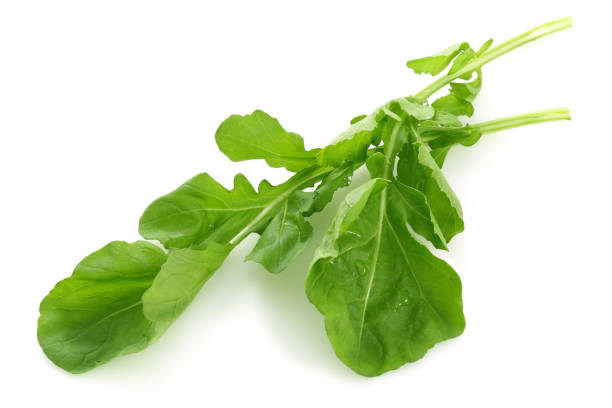 istock Bunch of fresh arugula isolated on white 1130545178