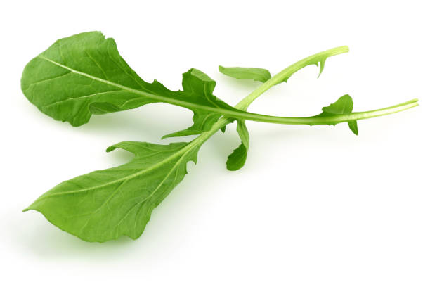 istock Bunch of fresh arugula isolated on white 1130545217