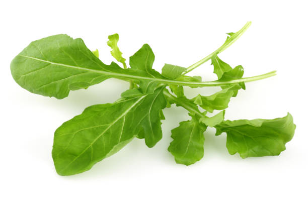 istock Bunch of fresh arugula isolated on white 1130545273