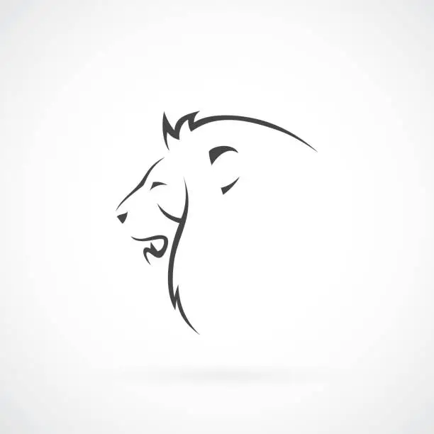 Vector illustration of Lion head - vector illustration