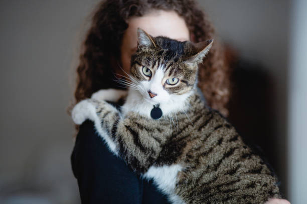 istock Tabby cat and a beautiful young woman 1130546627