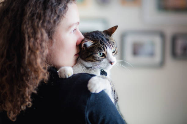 istock Tabby cat and a beautiful young woman 1130546660