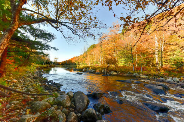 istock Adirondacks Fall Foliage, New York 1130546760