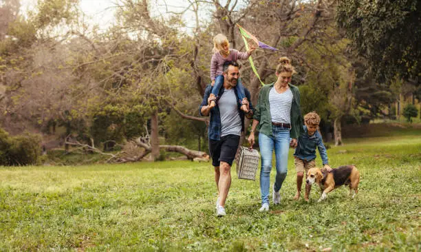 Happy couple with their two children and dog walking in park. Man carrying little girl with kite on shoulders and woman carrying a picnic basket with son and pet dog.