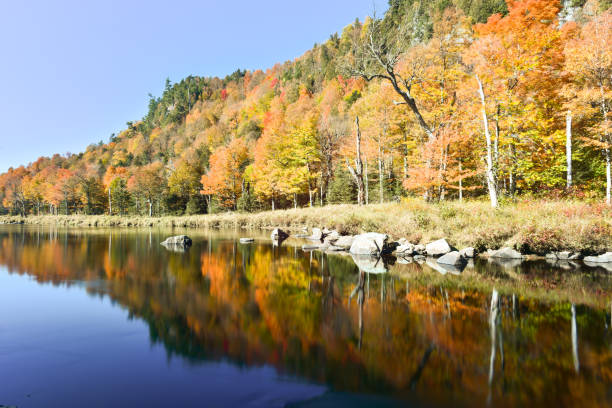 istock Adirondacks Fall Foliage, New York 1130547139
