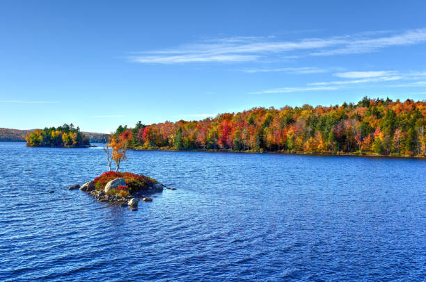 istock Rock Island Bay Fall Foliage, New York 1130550279