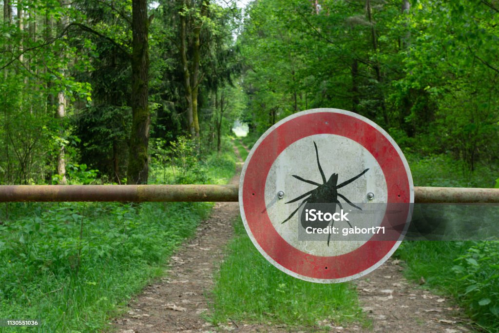 tick insect warning sign in forest Tick - Animal Stock Photo