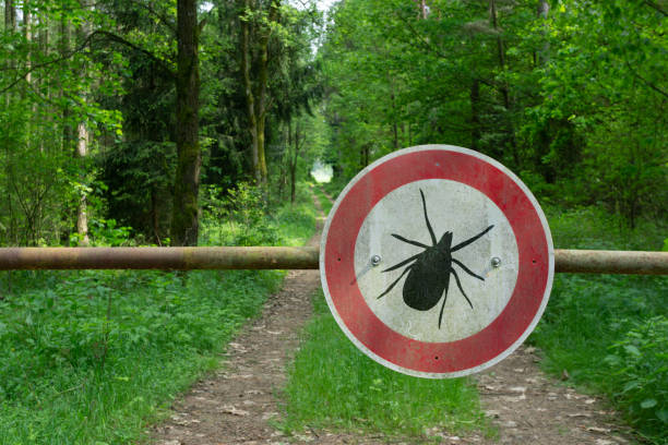тик насекомых предупреждающий знак в лесу - lyme disease стоковые фото и изображения