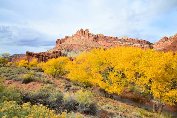 istock Autumn Colors in Capitol Reef NP 1130552291
