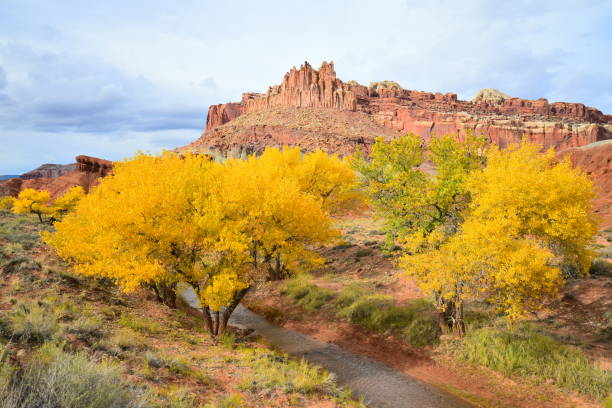 istock Autumn Colors in Capitol Reef NP 1130552293