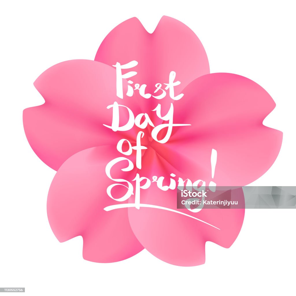 First day of spring lettering, flowers First day of spring lettering. Realistic pink sakura flower on a white background. Springtime stock vector