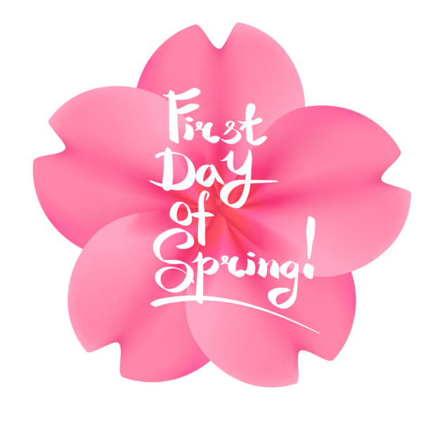 First day of spring lettering, flowers First day of spring lettering. Realistic pink sakura flower on a white background. first day of spring stock illustrations
