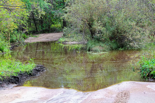 istock A flooded out portion of an atv trail 1130553587