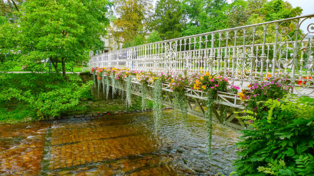 мост в красивом парке в самом сердце баден-бадена, германия - baden baden green street fountain стоковые фото и изображения