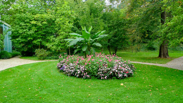 красивый парк в самом сердце баден-бадена - baden baden green street fountain стоковые фото и изображения