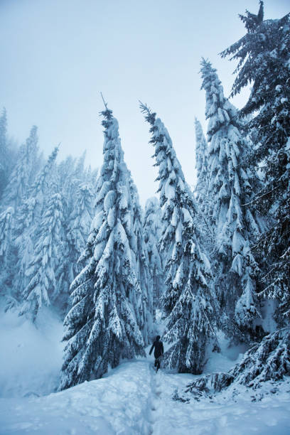 istock Winter landscape in the mountains 1130555197