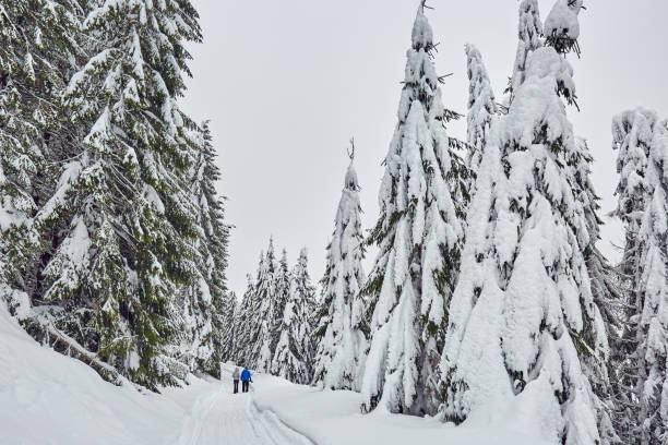 istock Hikers in the snowy mountains 1130555620