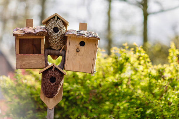 istock Several birdhouses and a bird feeder on a stick. Blurred background. 1130555711