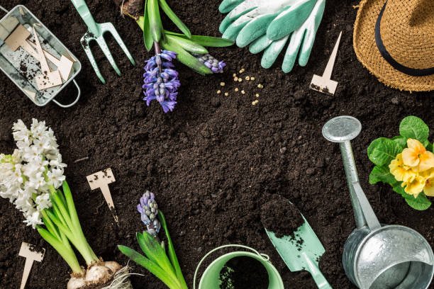 istock Spring garden works. Gardening tools and flowers on soil background. 1130557350