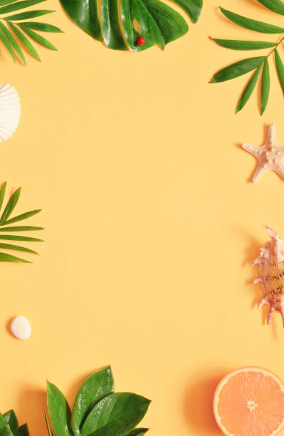 Tropical background. Palm trees branches with starfish and seashell on yellow background. Travel.