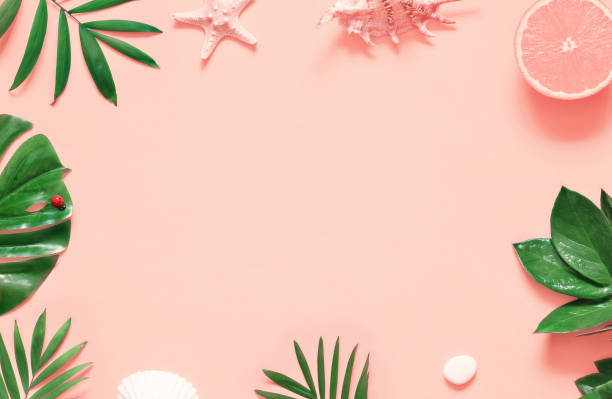 istock Tropical background. Palm trees branches with starfish and seashell on pink background. Travel. 1130557746
