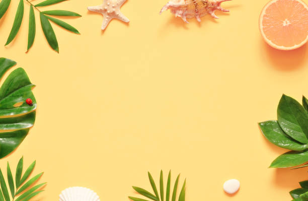 istock Tropical background. Palm trees branches with starfish and seashell on yellow background. Travel. 1130557752